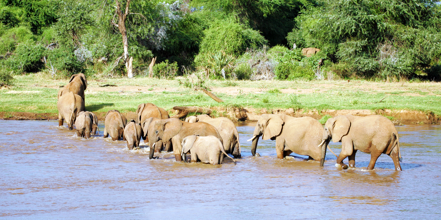 Buffalo Springs National Reserve