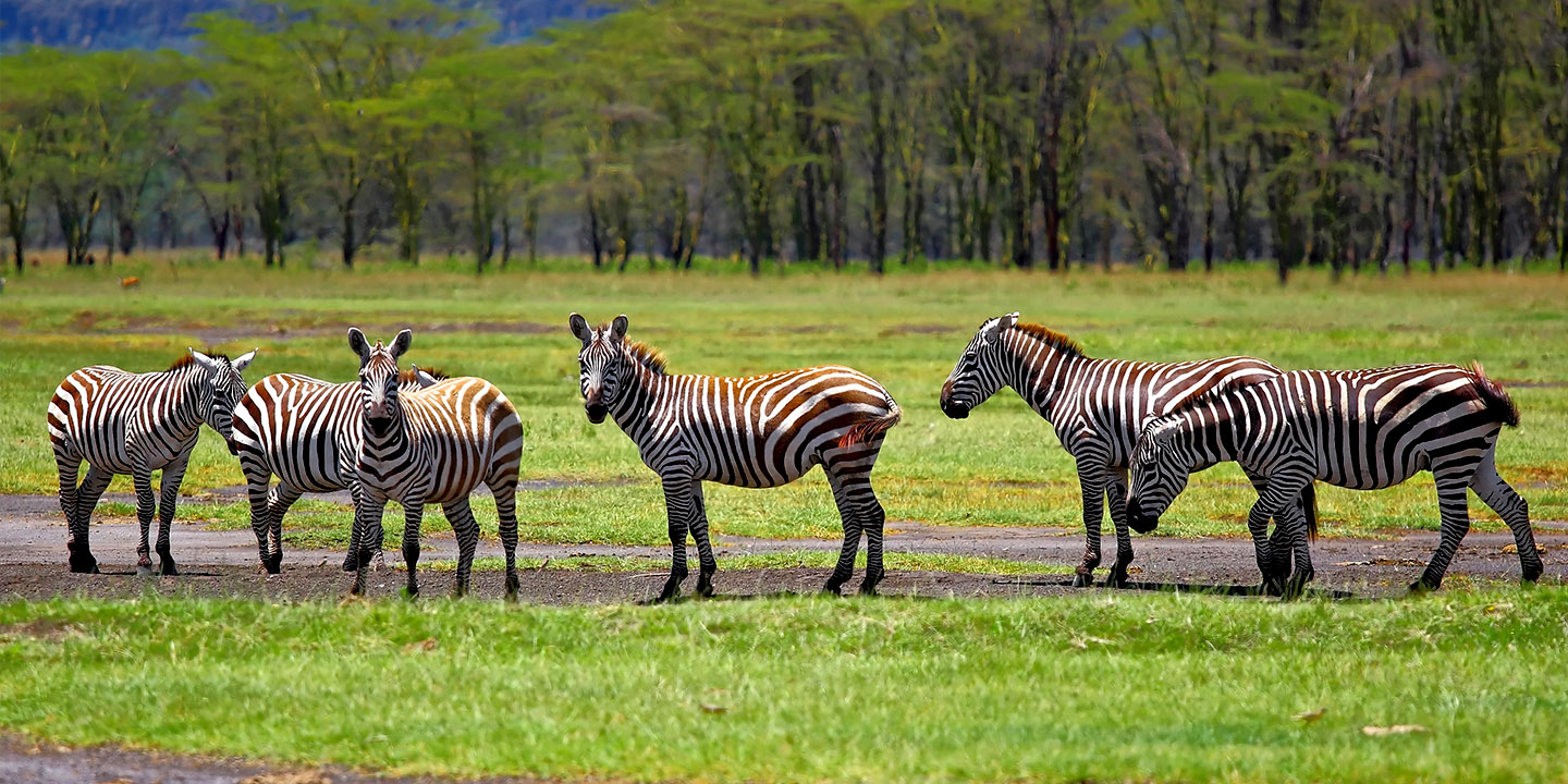 Kenya Country Factsheet